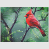 Papier Mousseline Red Cardinal Tissue Paper (Recto)