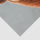 Papier Mousseline Red Dun Chestnut (Détail)