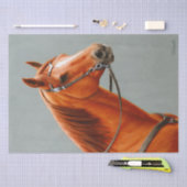 Papier Mousseline Red Dun Chestnut (Artisanat)