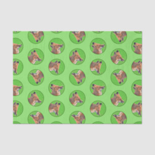 Papier Mousseline Red Fox Portrait Peinture Art original de la faune