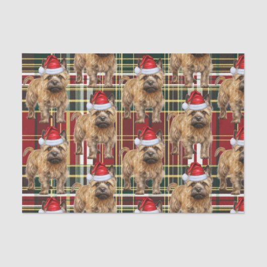 Papier Mousseline Red Green Plaid Cairn Terrier Noël (Recto)