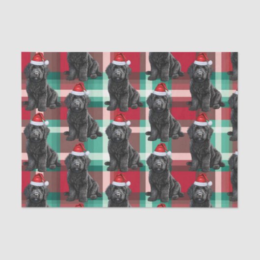 Papier Mousseline Red Green Plaid Labradooda Chien Noël (Recto)