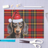 Papier Mousseline Red Holiday Plaid Smooth Coat Dachshund Christmas (Artisanat)
