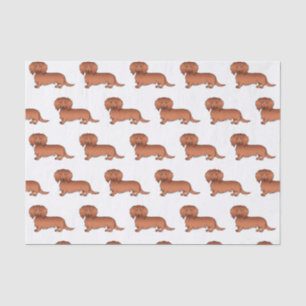 Papier Mousseline Red Long Cheveux Dachshund mignon Motif de dessin