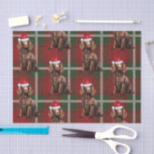 Papier Mousseline Red Plaid Boykin Spaniel Amoureux des chiens Holid (Artisanat)