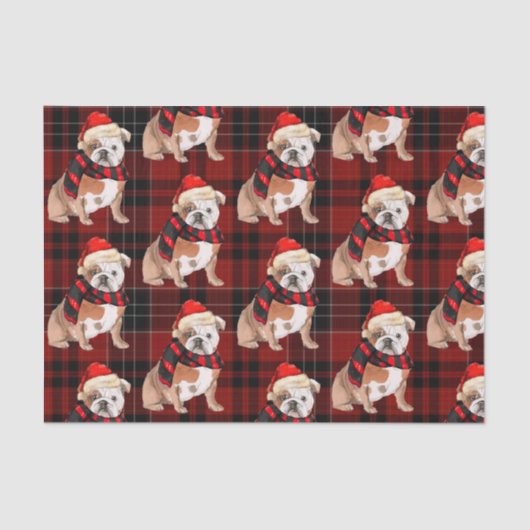 Papier Mousseline Red Plaid et English Bulldog Noël (Recto)