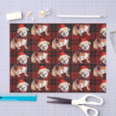 Papier Mousseline Red Plaid et English Bulldog Noël (Artisanat)