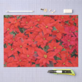 Papier Mousseline Red Poinsettias I Christmas Holiday Floral Photo (Artisanat)