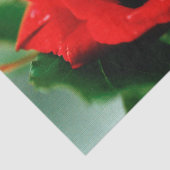 Papier Mousseline Red Rose Love (Détail)