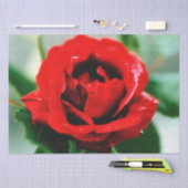 Papier Mousseline Red Rose Love (Artisanat)
