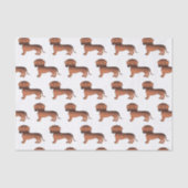 Papier Mousseline Red Sable Smooth Coat Dachshund mignon chien Motif (Recto)