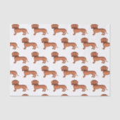 Papier Mousseline Red Smooth Coat Dachshund mignon chien Motif (Recto)