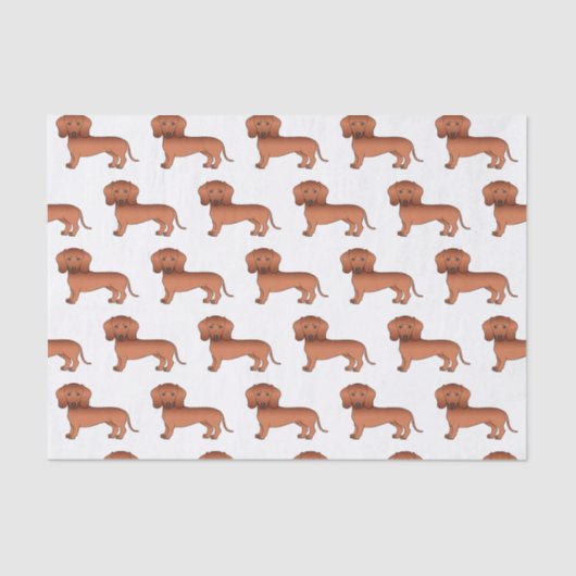 Papier Mousseline Red Smooth Coat Dachshund mignon chien Motif (Recto)