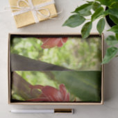 Papier Mousseline Red Torch Ginger Tropical Flower Photographie (Cadeau)