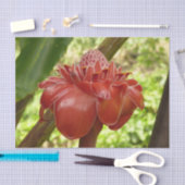 Papier Mousseline Red Torch Ginger Tropical Flower Photographie (Artisanat)