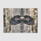 Papier Mousseline Réflexions d'ours noir (Recto)