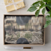 Papier Mousseline Réflexions d'ours noir (Cadeau)