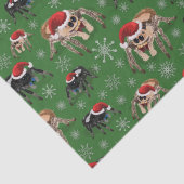 Papier Mousseline Regal Jumping Spider Phiddipus Regius Holiday Moss (Détail)