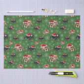 Papier Mousseline Regal Jumping Spider Phiddipus Regius Holiday Moss (Artisanat)