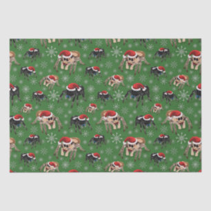 Papier Mousseline Regal Jumping Spider Phiddipus Regius Holiday Moss