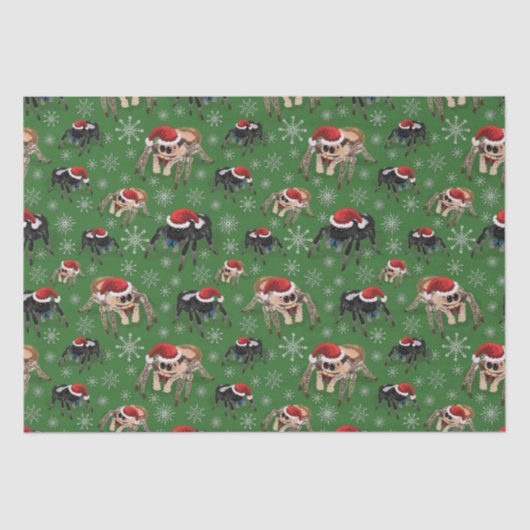 Papier Mousseline Regal Jumping Spider Phiddipus Regius Holiday Moss (Recto)