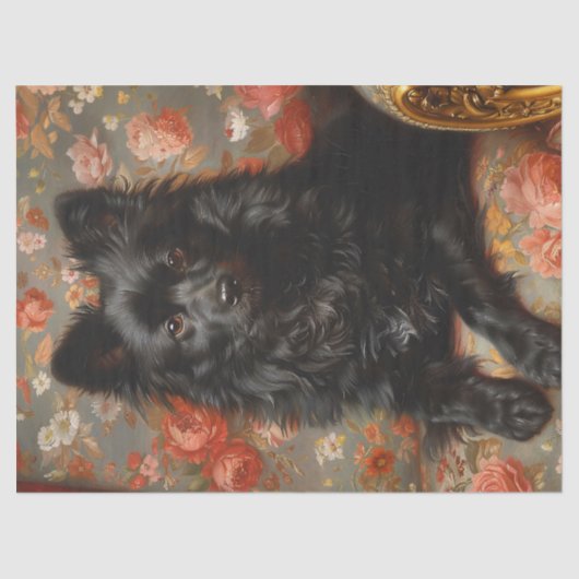 Papier Mousseline Regal Schipperke Chien Découpage Vintage (Recto)