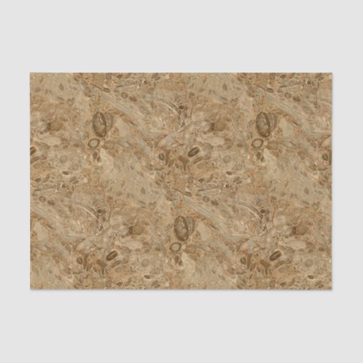 Papier Mousseline Regard fossile de marbre Brown (Recto)