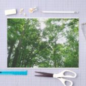 Papier Mousseline Regard sur les arbres d'été (Artisanat)