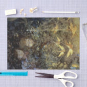 Papier Mousseline "Regarder les fées" par Beatrice Goldsmith (Artisanat)