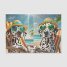 Reggie Bahama & Matilda Mama, Dalmatiens sur Vaca