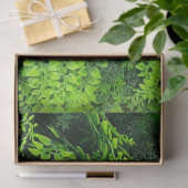 Papier Mousseline Remplissage Arrière - plan Feuille vert (Cadeau)