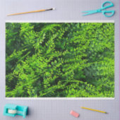 Papier Mousseline Remplissage Arrière - plan Feuille vert (Artisanat)