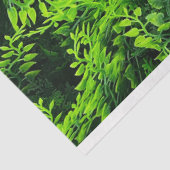 Papier Mousseline Remplissage Arrière - plan Feuille vert (Détail)