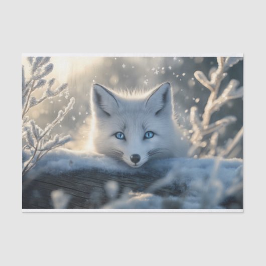 Papier Mousseline Renard arctique aux yeux bleus submergeants (Recto)