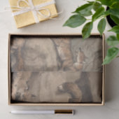 Papier Mousseline Renard gris (Canis Virginianus) (Cadeau)