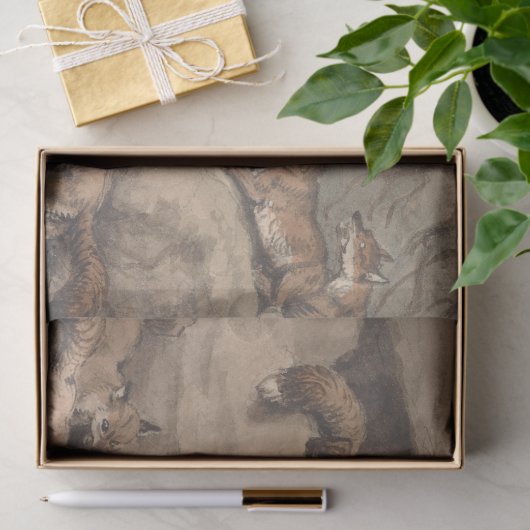 Papier Mousseline Renard gris (Canis Virginianus) (Cadeau)