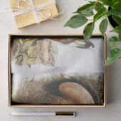 Papier Mousseline Renard gris (Canis Virginianus) (Cadeau)