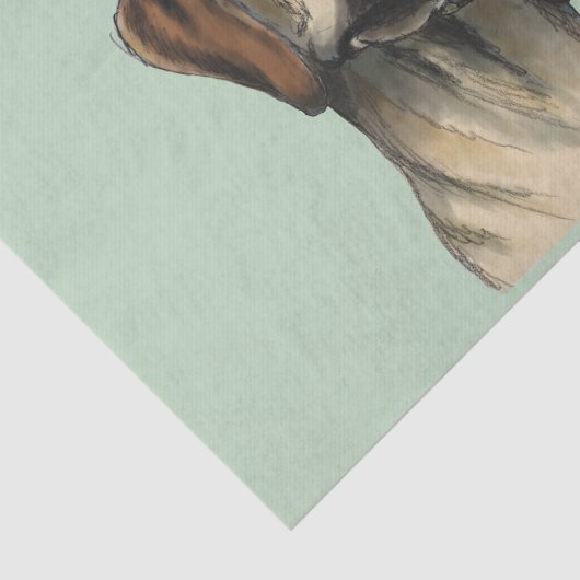 Papier Mousseline Rendu curieux de chien (Détail)