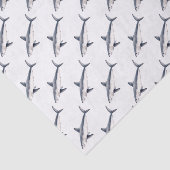 Papier Mousseline Requin cailon (Détail)