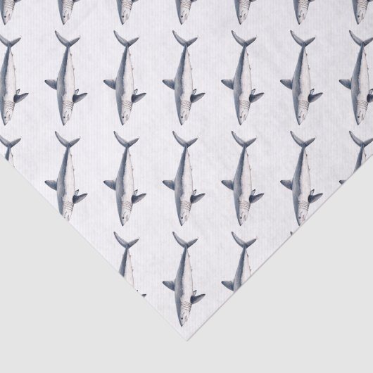 Papier Mousseline Requin cailon (Détail)