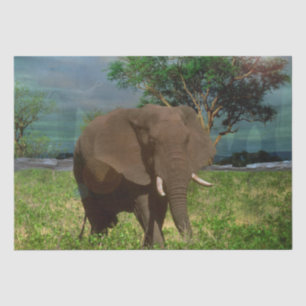 Papier Mousseline "Résistance sereine : Le Graissage des éléphants B