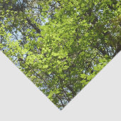 Papier Mousseline Ressource Feuille (Détail)