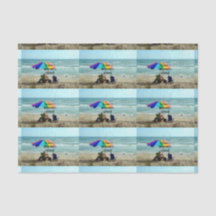 Retraité - Chaque jour est le samedi. Pêche libre