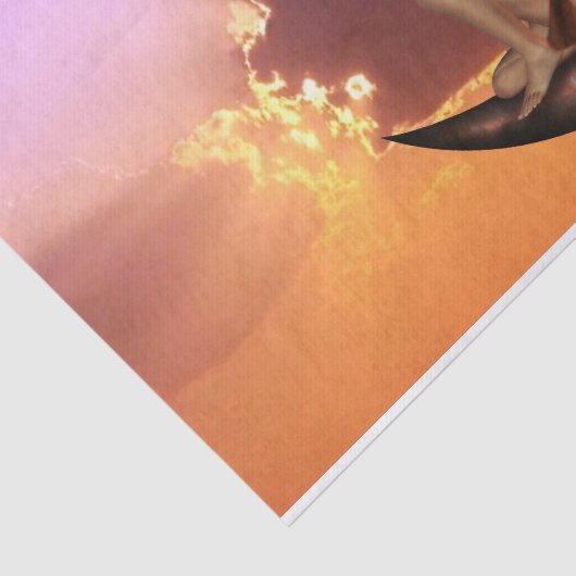 Papier Mousseline Rêves féeriques (Détail)