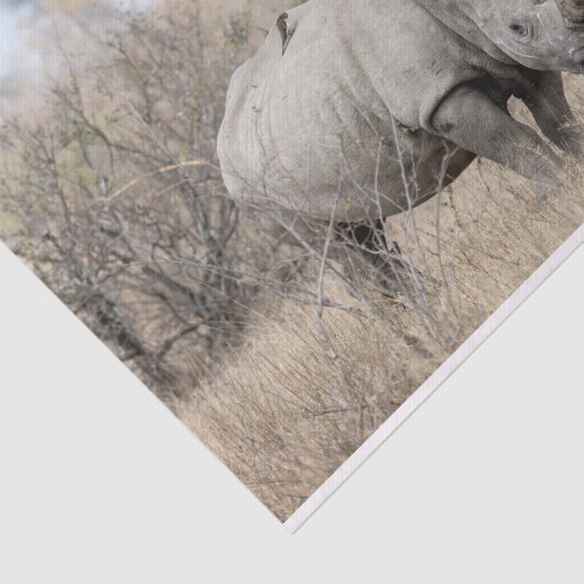 Papier Mousseline Rhino blanc (Détail)