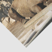Papier Mousseline Rhino couché (Détail)
