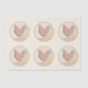 Papier Mousseline Rhode Island Red Rooster Yellow Arrière - plan