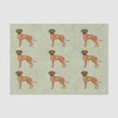 Papier Mousseline Rhodesian Ridgeback African Lion Chien Motif Vert (Recto)