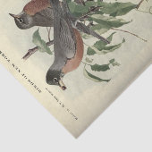 Papier Mousseline Robbin de découpage de l'Ephémère d'oiseaux (Détail)