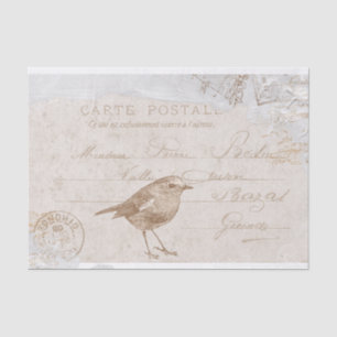 Papier Mousseline Robin Bird Carte Postale Découpage Français Bleu